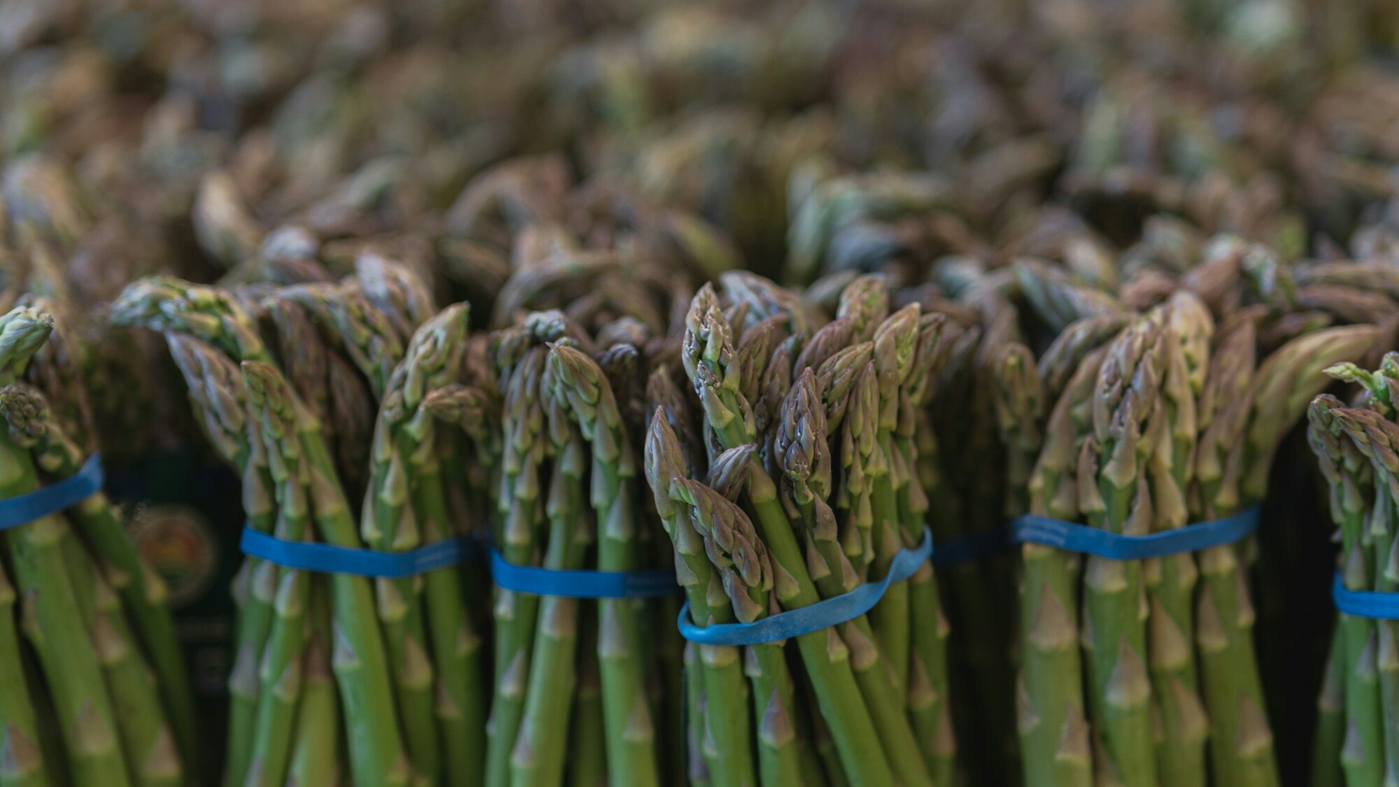 Top 10 Orte zum Spargel kaufen in Köln